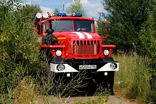 В Луховицах потушили лесной пожар