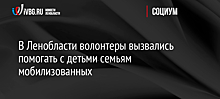 В Ленобласти волонтеры вызвались помогать с детьми семьям мобилизованных