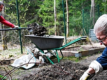 Дачникам объяснили, как подготовить почву к зиме
