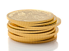 Пенсионеры нашли старинные монеты стоимостью 1 млн. руб