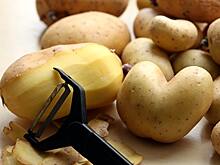 Раскрыты плюсы выращивания картофеля в Арктике