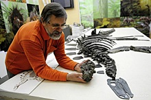 Российские палеонтологи открыли новый род ноазавридов