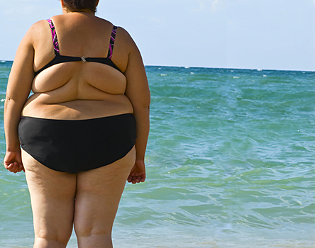 В Австралии призвали сдавать человеческий жир