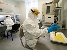 Главное о коронавирусе на 27 февраля: прения о происхождении COVID-19, рост числа госпитализаций в Татарстане