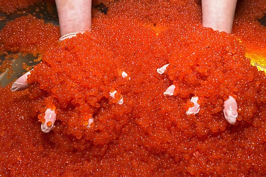 Правительство Москвы отказалось от красной икры