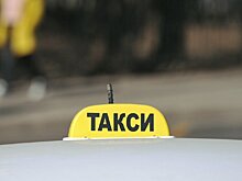 Депутат из Санкт-Петербурга решил запретить мигрантам работать в такси