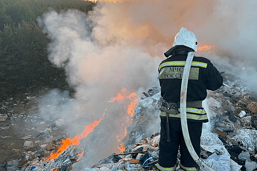 Прокуратура нашла крайнего в пожаре на незаконной свалке в Березовском