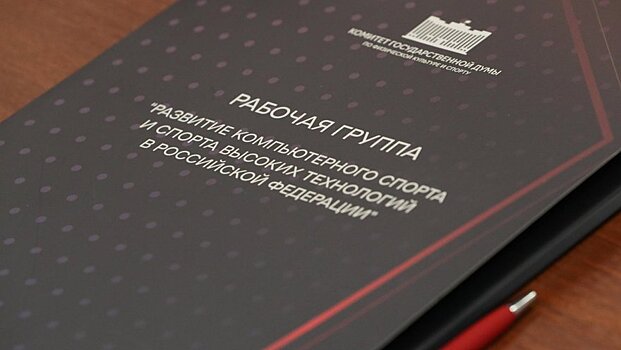 В ГД состоялось заседание рабочей группы по развитию компьютерного спорта и спорта высоких технологий