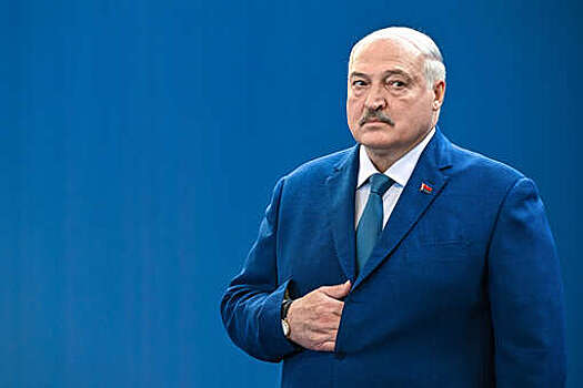 Депутат ГД Делягин: запрет Лукашенко на повышение цен осуществим