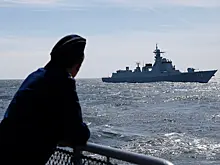 В Госдуме назвали условия возвращения войск на остров Змеиный
