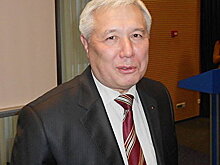 Бывший премьер-министр Украины придумал, как бороться с новыми российскими газопроводами