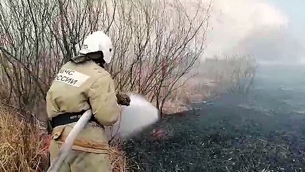 Вертолеты и более 100 пожарных: в Курганской области ликвидировали крупный пожар