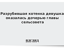 Разрубившая кота девушка оказалась дочерью чиновника