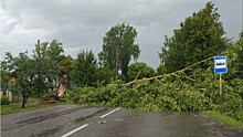Ураган в Котельниче: вырванные с корнями деревья, раздавленные автомобили и унесенные остановки