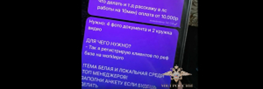 В шести регионах России полицейскими задержаны участники криминальной схемы по дистанционной краже денежных средств умерших граждан