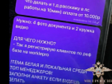 В шести регионах России полицейскими задержаны участники криминальной схемы по дистанционной краже денежных средств умерших граждан