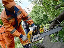 В Подмосковье из-за урагана частично обесточены 15 населенных пунктов