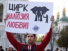 Убийства животных под куполом цирка