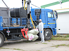 В Мордовии прошли масштабные учения по ликвидации африканской чумы свиней