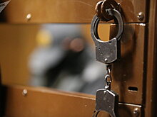Задержанных в Грузии за членство в "воровском мире" отправили под арест