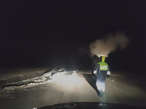 В Оренбуржье полицейские в мороз помогли съехавшему в кювет водителю