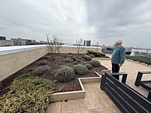 Сад, который живет на крыше: &laquo;Молот&raquo; оценил перспективы нестандартного озеленения Ростова