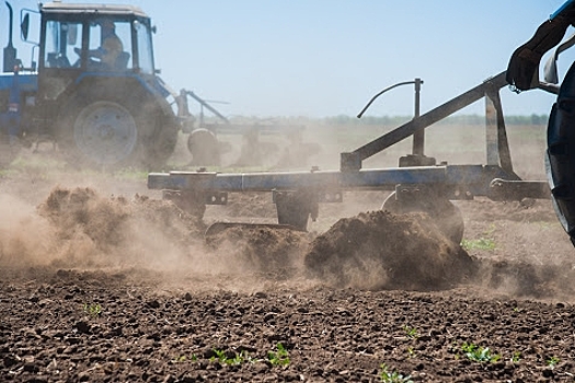 Почему инновационная обработка почвы не всегда заканчивается успехом