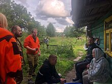 Заблудившуюся в лесу пенсионерку нашли волонтеры