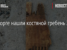 В Выборге нашли костяной гребень XV века