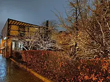 В Самарской области 25 ноября ожидается дождь и ветер