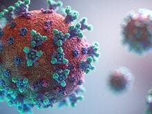 Более заразные подвиды коронавируса распространяются в России