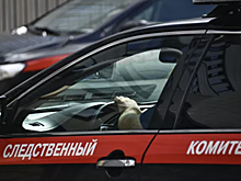 Суд арестовал экс-проректора МГУ