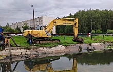 Специалисты благоустроят территорию пруда в Щаповском
