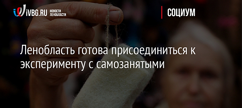 Ленобласть готова присоединиться к эксперименту с самозанятыми
