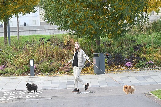 Домашний персонал в панике: как не попасть в лапы к нанимателю-извращенцу