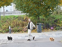 Домашний персонал в панике: как не попасть в лапы к нанимателю-извращенцу