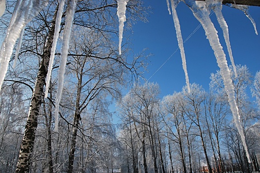Селфи на набережной, горящие кроссовки и торт для пса: подглядываем в архангельские инстаграмы