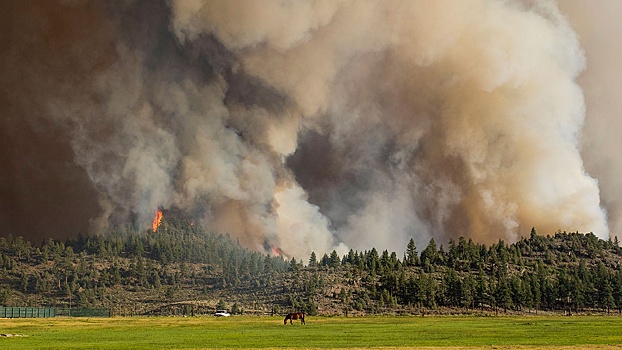Очаг горения лесов в Калифорнии получил статус мегапожара
