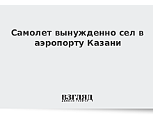 В Казани экстренно сел летевший в Москву самолет