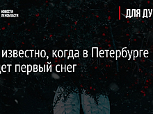 Стало известно, когда в Петербурге выпадет первый снег