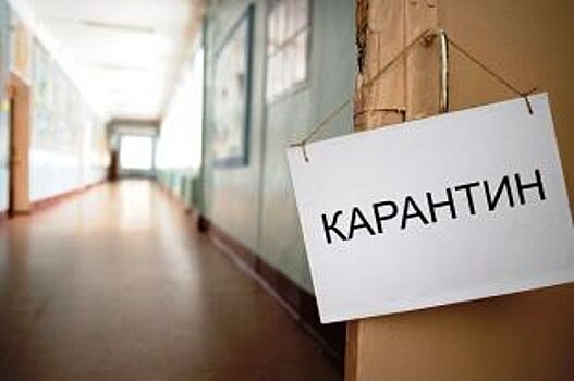 Роспотребнадзор: с 27 февраля в Архангельске вводится карантин по гриппу