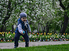 Обитаемый лес празднует статусную годовщину