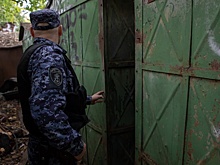 В Пензе задержан похититель автомобильных колес