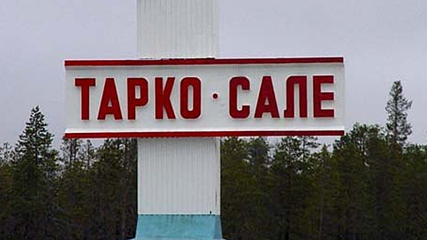 Бронзовая щука почти за миллион рублей появится на набережной Тарко-Сале