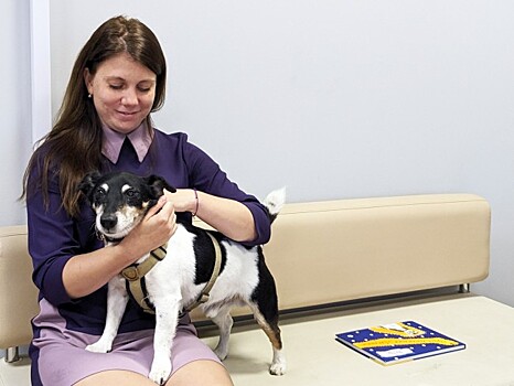 Четверолапый сотрудник. Посетителей библиотеки в КЦ «Рублево» встречает Бося