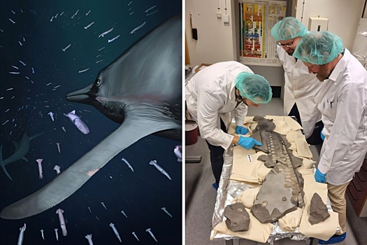 Воссоздан облик бесшумного опаснейшего гиганта юрских морей