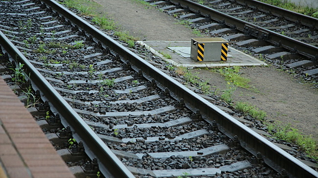 Поезд разрезал упавшую на рельсы пенсионерку
