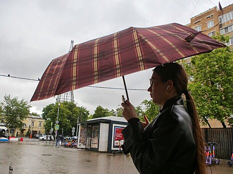 Москвичей предупредили о грозе и порывистом ветре 9 июня
