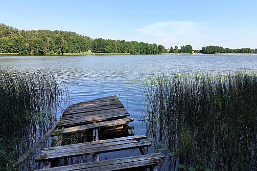 Россиян предупредили о скрытой опасности незнакомых водоемов