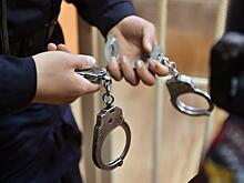 Полицейские задержали в Подмосковье девушку-курьера, которая похитила у пятерых граждан более 4 млн рублей